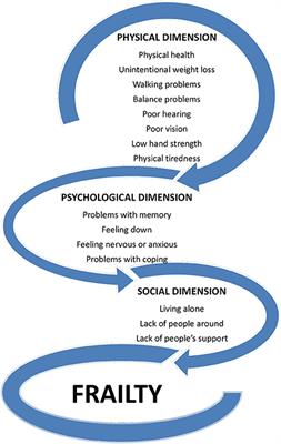 Is It Time to Begin a Public Campaign Concerning Frailty and Pre-frailty? A Review Article